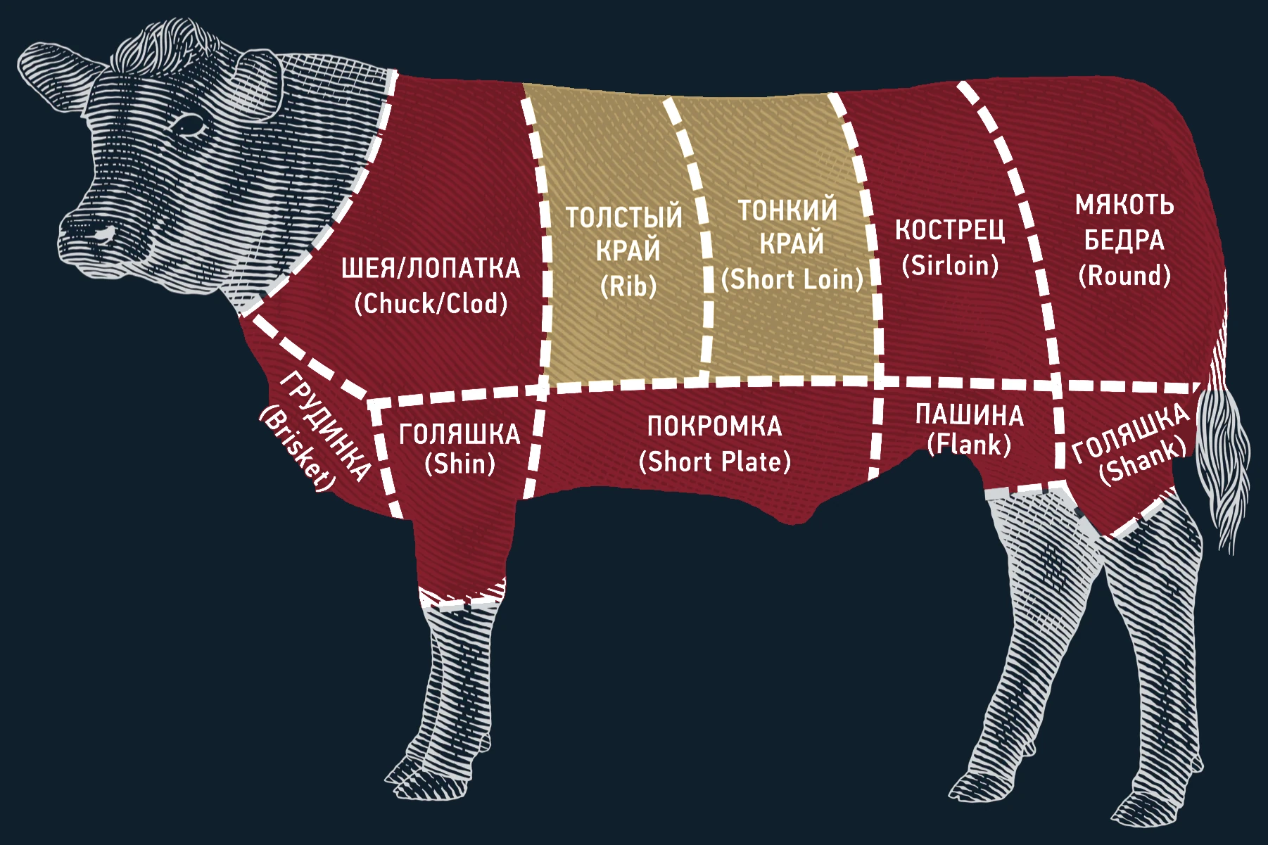 Схема разделки туши PRIMEBEEF: шея и лопатка, толстый и тонкий край, кострец, мякоть бедра, грудинка, покромка, пашина, голяшки